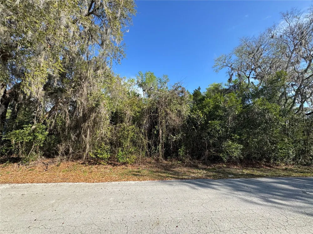 CR 482C Lake Panasoffkee, FL 33538