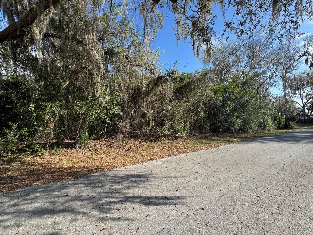 CR 482C Lake Panasoffkee, FL 33538