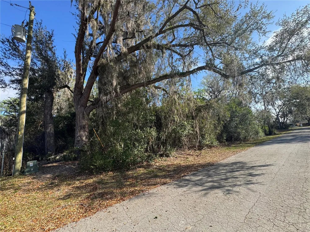 CR 482C Lake Panasoffkee, FL 33538