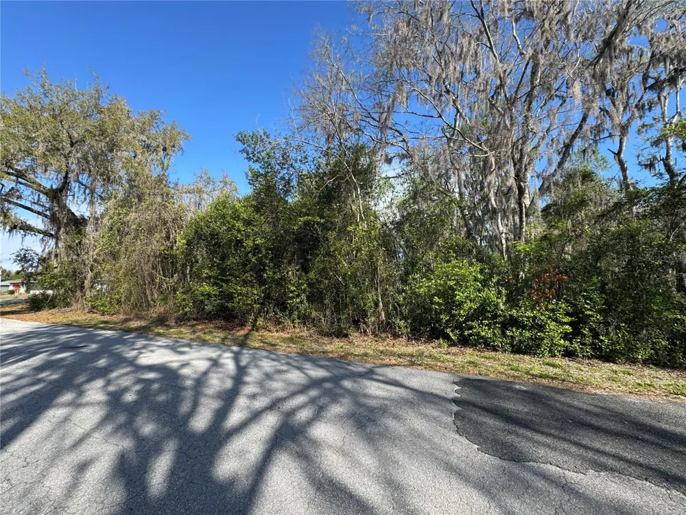 CR 482C Lake Panasoffkee, FL 33538
