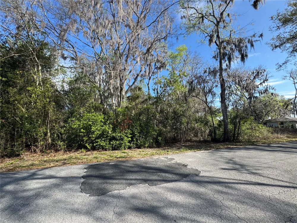 CR 482C Lake Panasoffkee, FL 33538