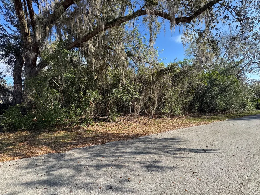 CR 482C Lake Panasoffkee, FL 33538