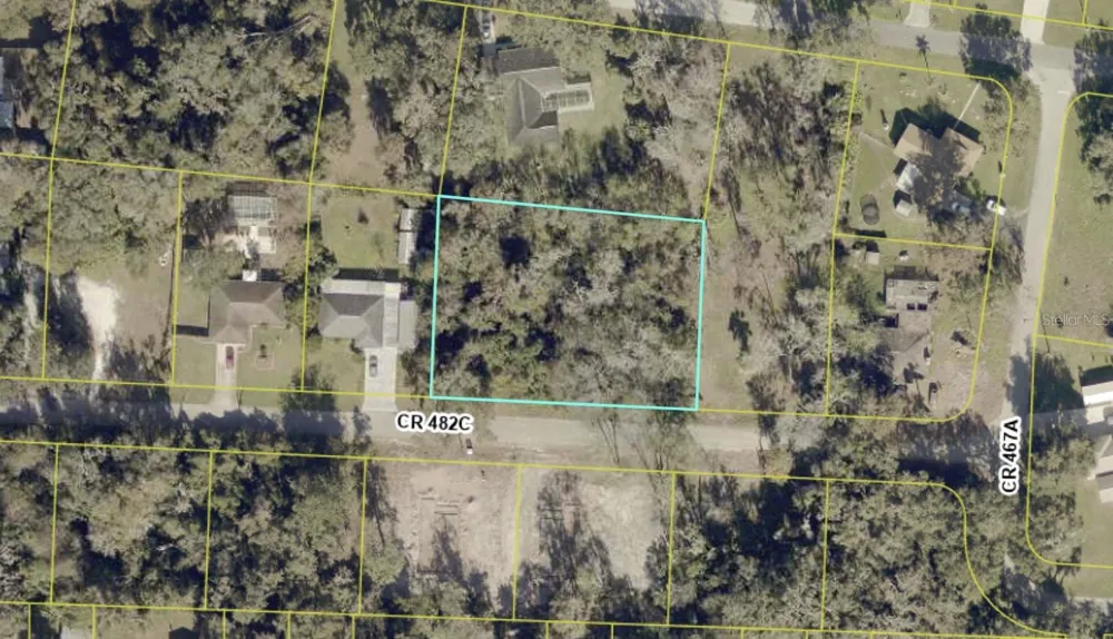 CR 482C Lake Panasoffkee, FL 33538