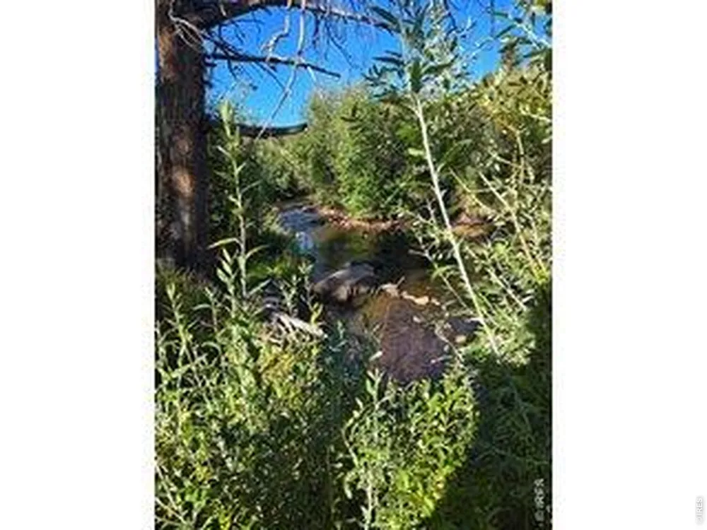 534 Blackfoot Road Red Feather Lakes, CO 80545