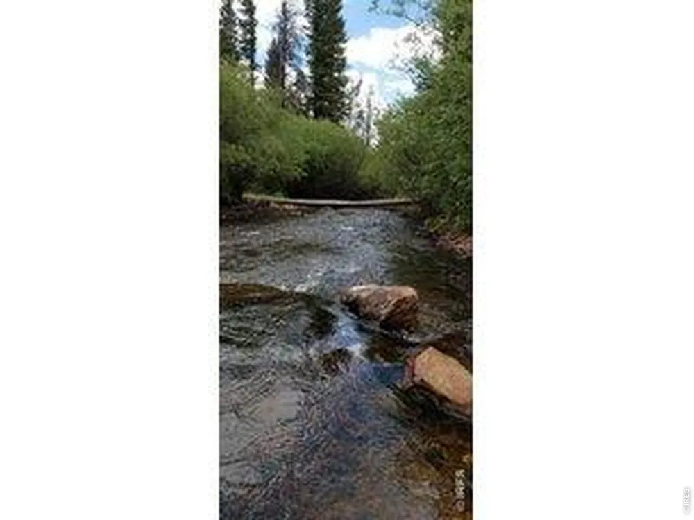 534 Blackfoot Road Red Feather Lakes, CO 80545