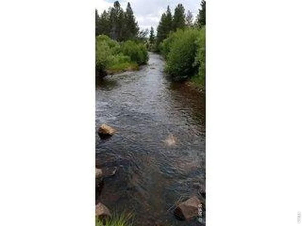 534 Blackfoot Road Red Feather Lakes, CO 80545