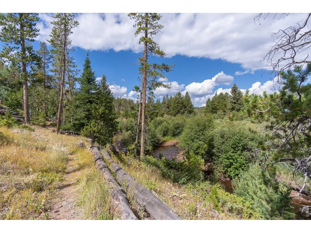 534 Blackfoot Road Red Feather Lakes, CO 80545
