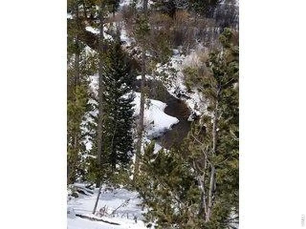534 Blackfoot Road Red Feather Lakes, CO 80545