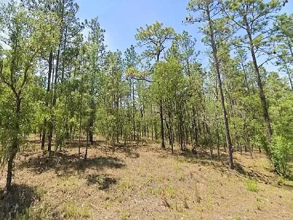 NW Alvarez #42 Road Dunnellon, FL 34431