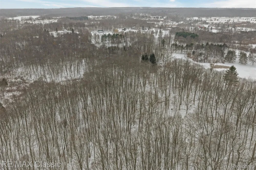 3737 Rock Valley Dryden Township, MI 48455