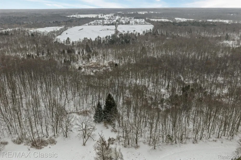 3737 Rock Valley Dryden Township, MI 48455