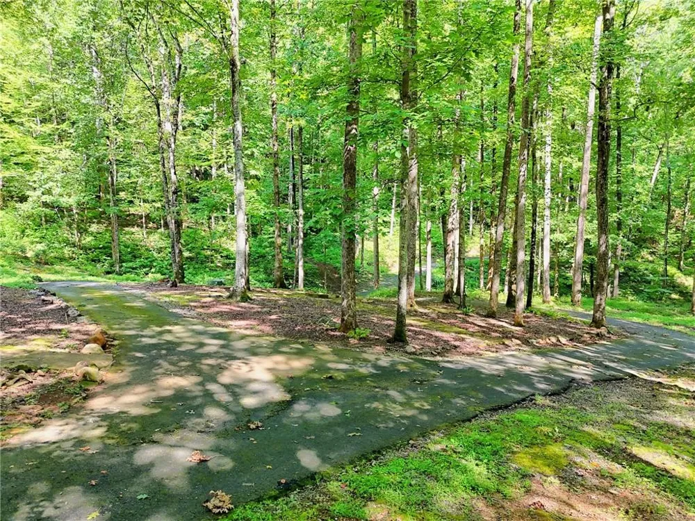 876 WHITETAIL TRAIL Clayton, GA 30525