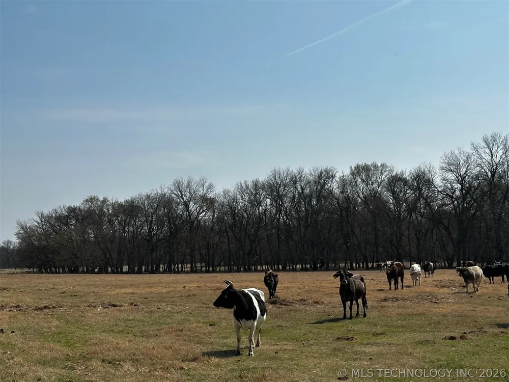 County Road 3680 Tupelo, OK 74572