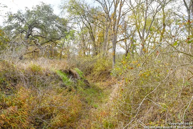 3237 CHURCH RD Seguin, TX 78155