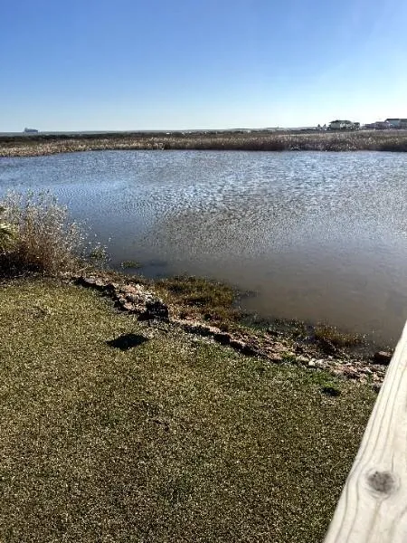Francis Cove Surfside Beach, TX 77541