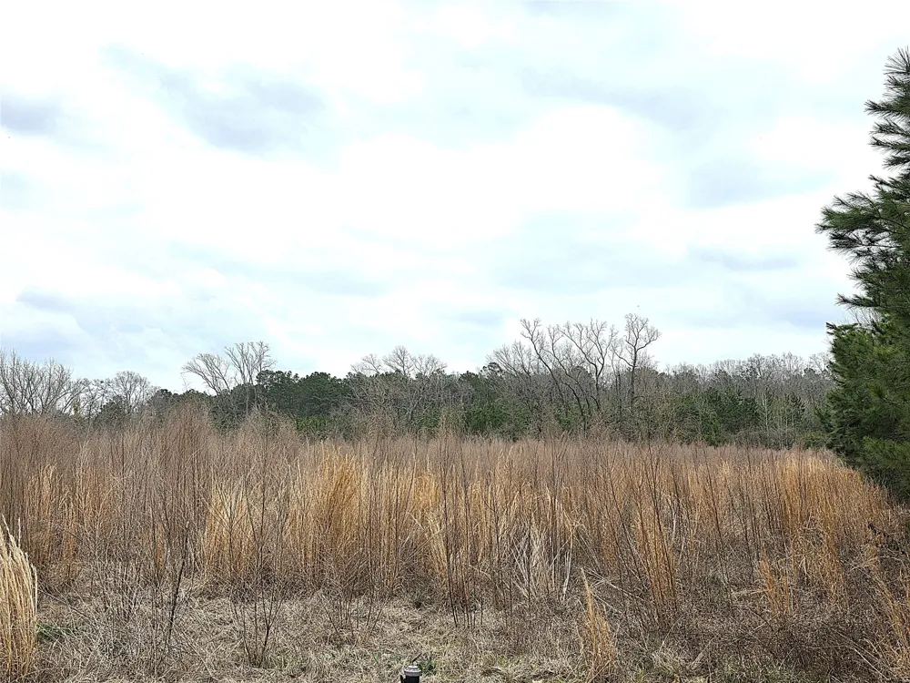 3049 Hwy 507 Coushatta, LA 71019