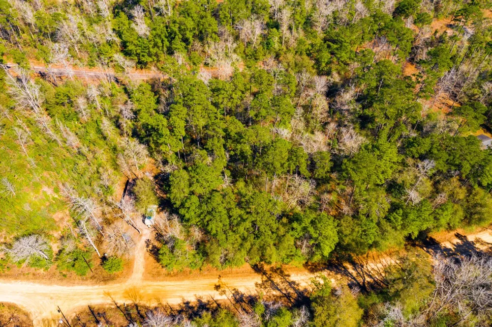 Friar Tuck Drive Woodville, TX 75979