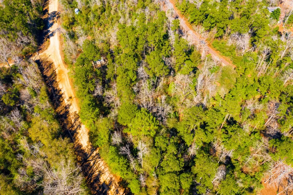 Friar Tuck Drive Woodville, TX 75979