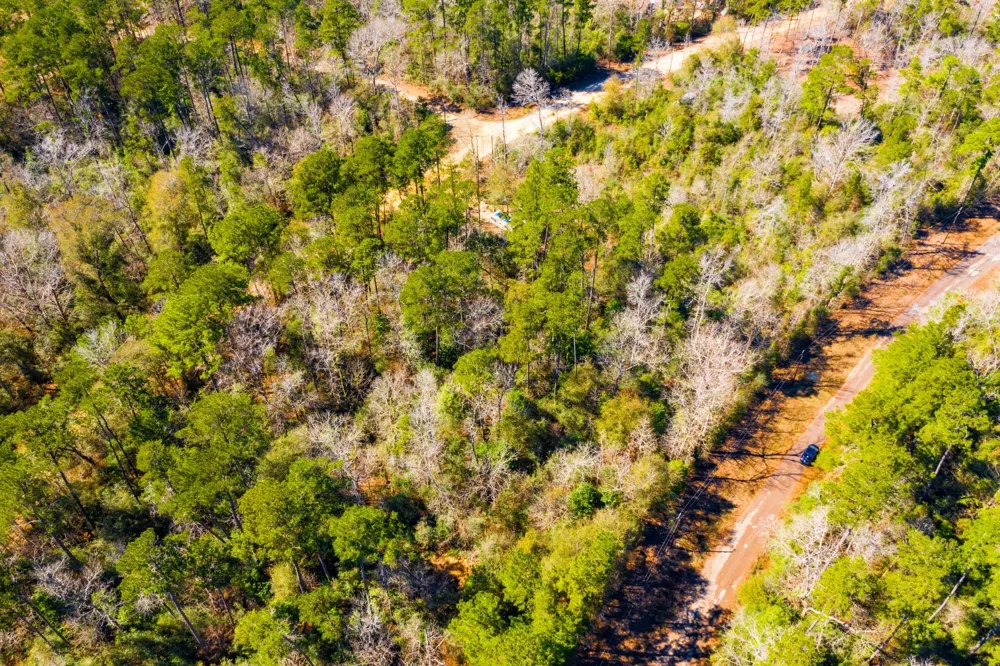 Friar Tuck Drive Woodville, TX 75979