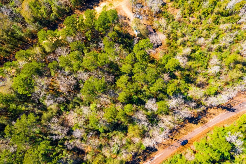 Friar Tuck Drive Woodville, TX 75979
