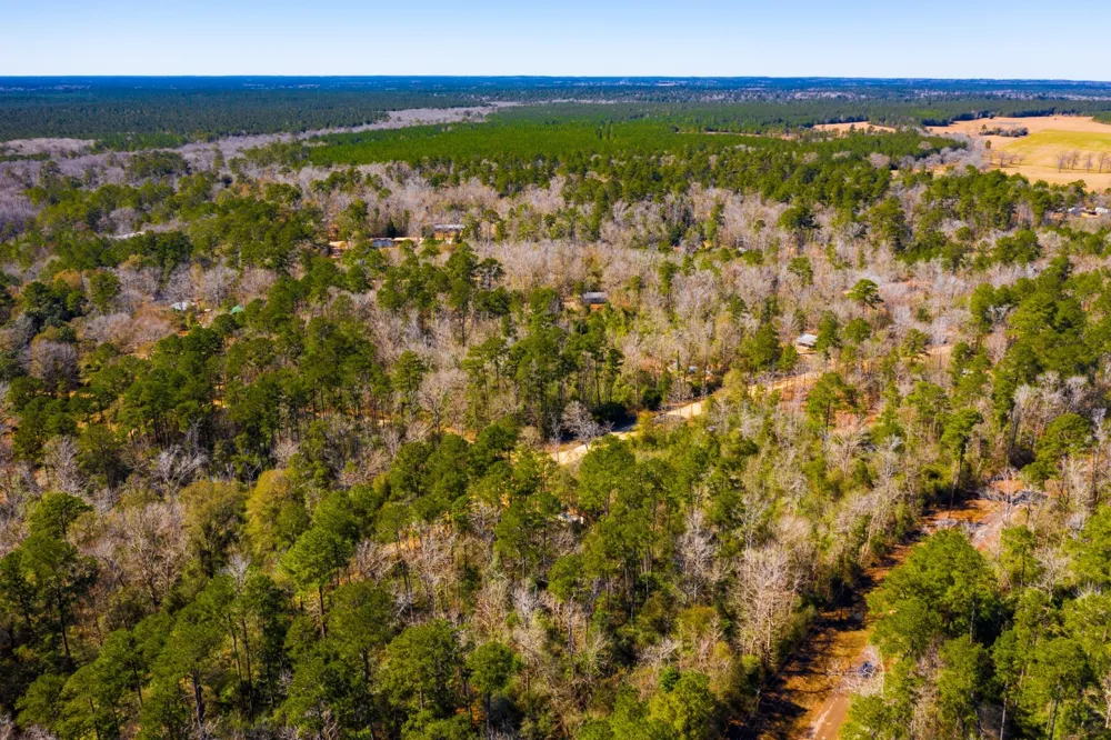 Friar Tuck Drive Woodville, TX 75979