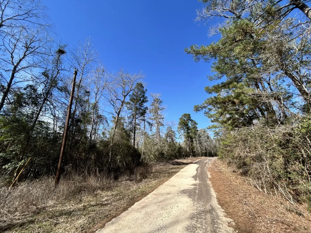 Friar Tuck Drive Woodville, TX 75979