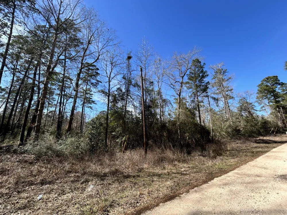 Friar Tuck Drive Woodville, TX 75979