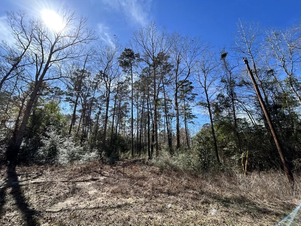 Friar Tuck Drive Woodville, TX 75979