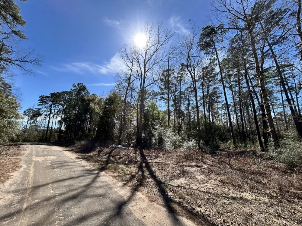 Friar Tuck Drive Woodville, TX 75979