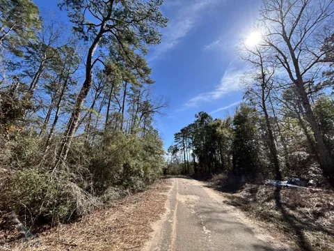 Friar Tuck Drive