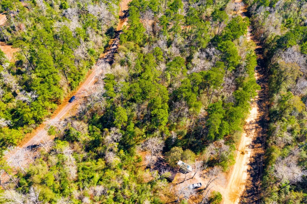 Friar Tuck Drive Woodville, TX 75979