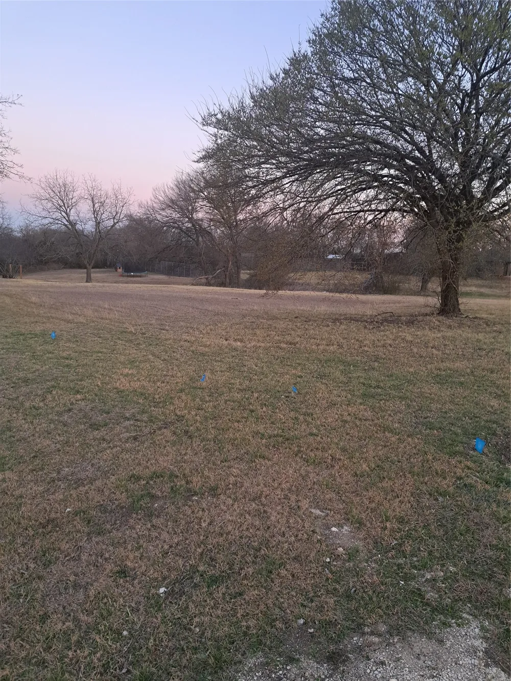 Holly Lane Ovilla, TX 75154