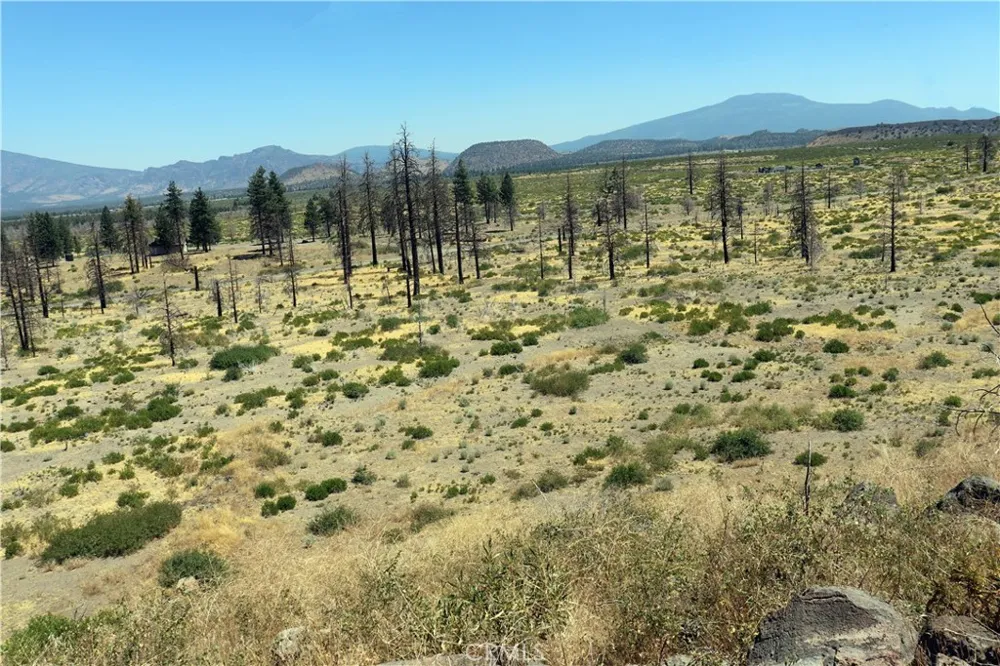 Juniper Valley Weed, CA 96094