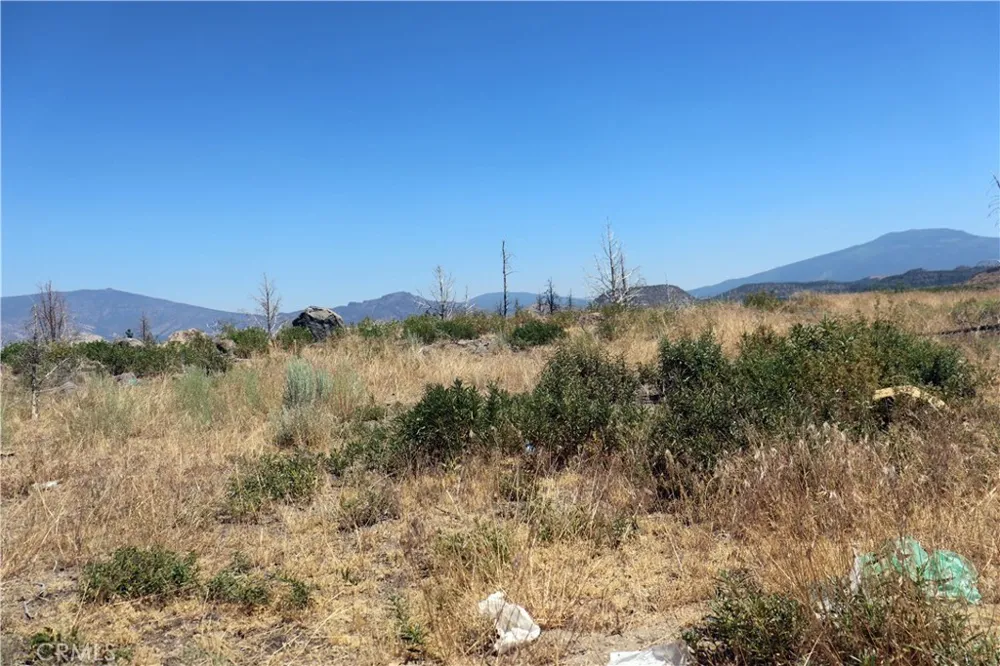 Juniper Valley Weed, CA 96094