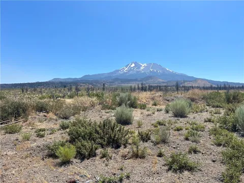 Juniper Valley