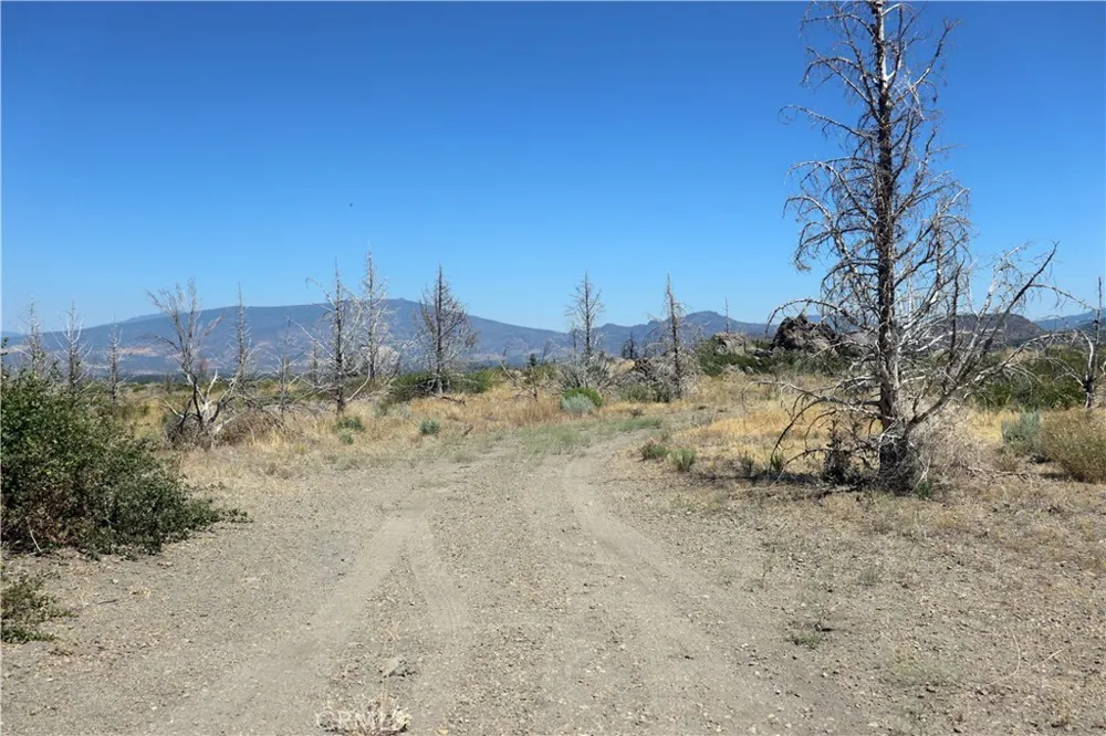 Juniper Valley Weed, CA 96094