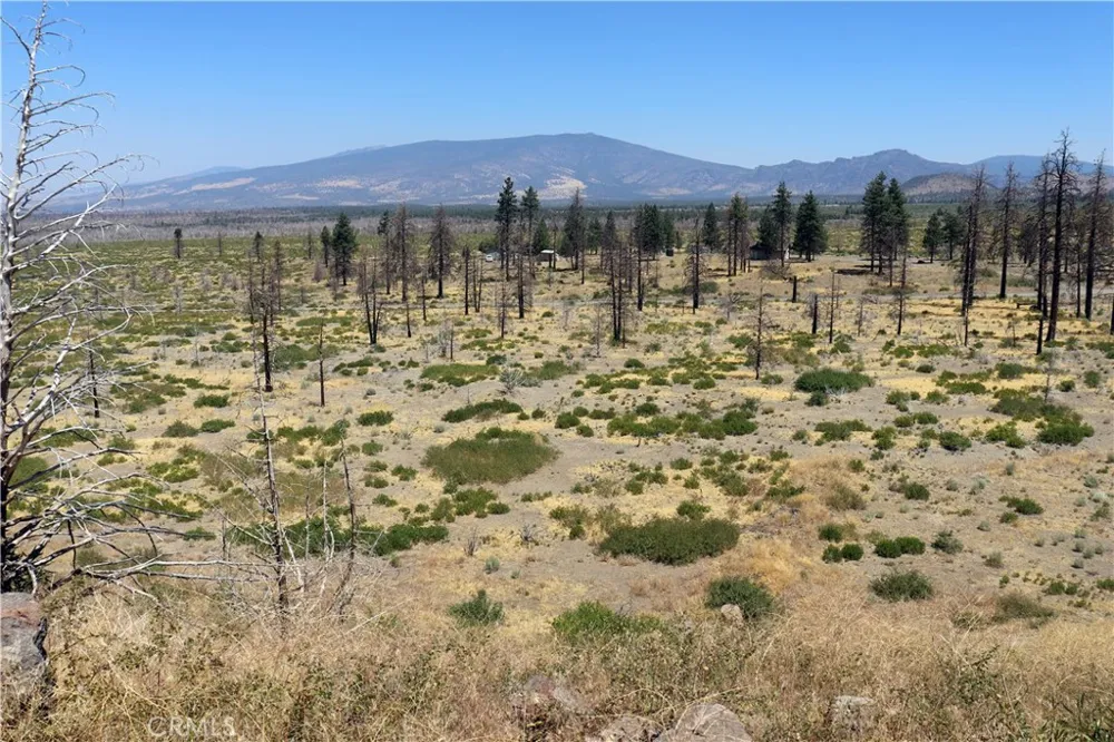 Juniper Valley Weed, CA 96094