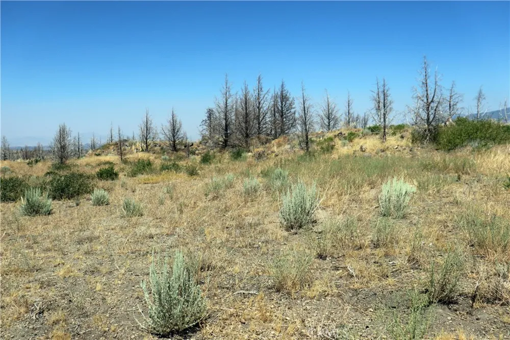 Juniper Valley Weed, CA 96094