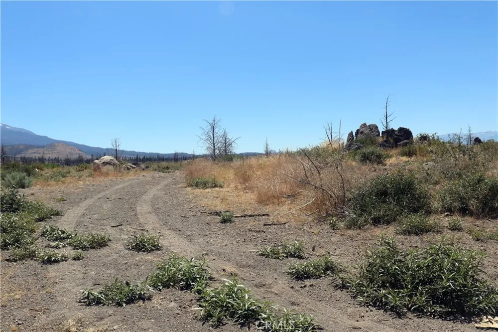 Juniper Valley Weed, CA 96094