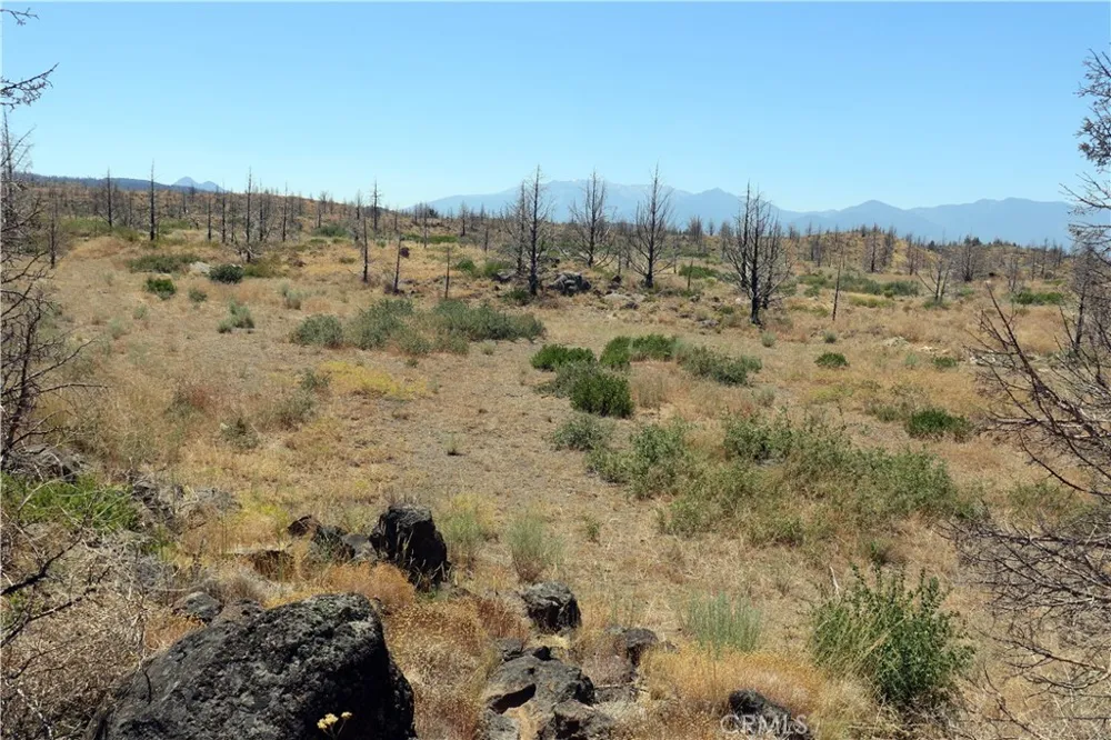 Juniper Valley Weed, CA 96094
