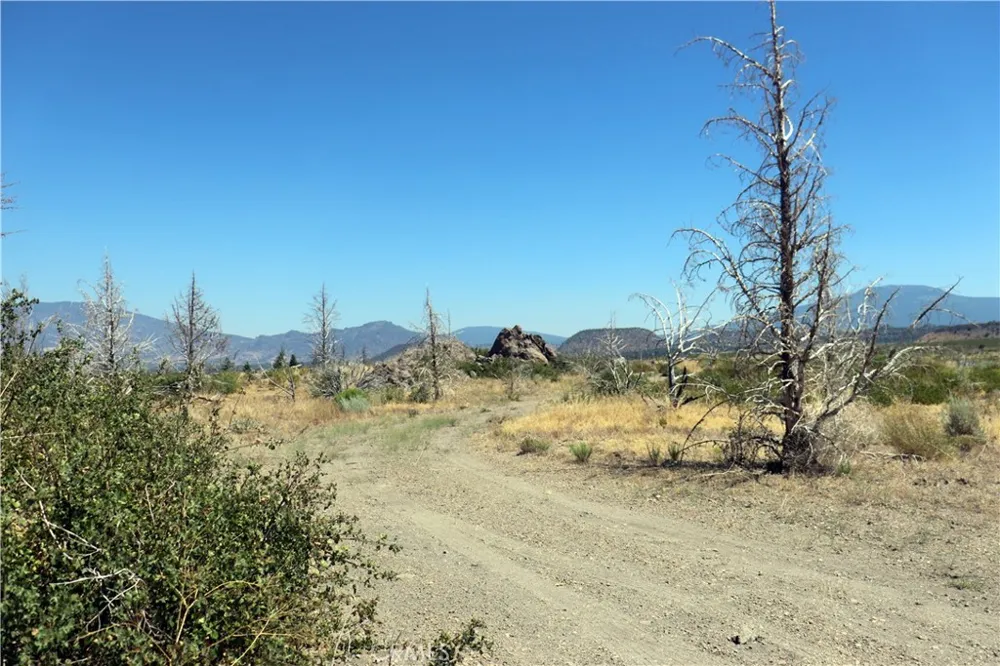 Juniper Valley Weed, CA 96094