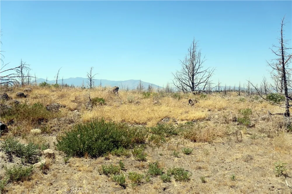 Juniper Valley Weed, CA 96094