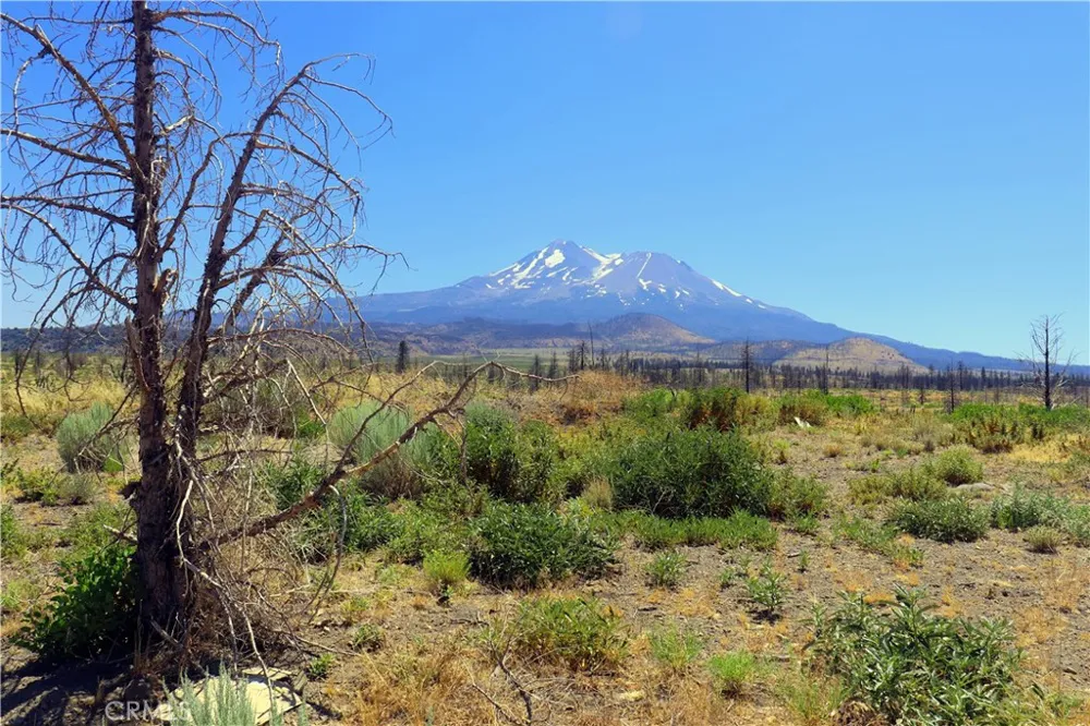 Juniper Valley Weed, CA 96094