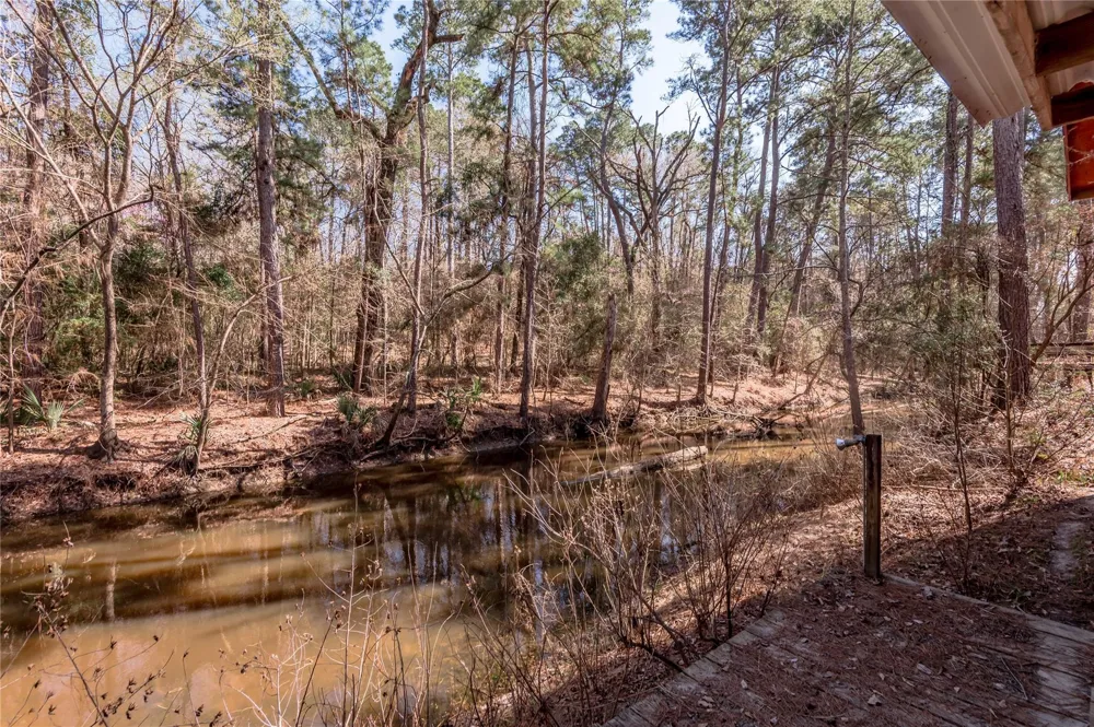 48 Hickory Bend Riverside, TX 77320