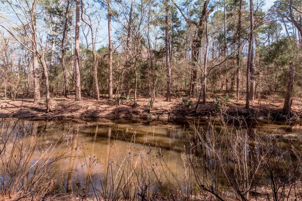 48 Hickory Bend Riverside, TX 77320