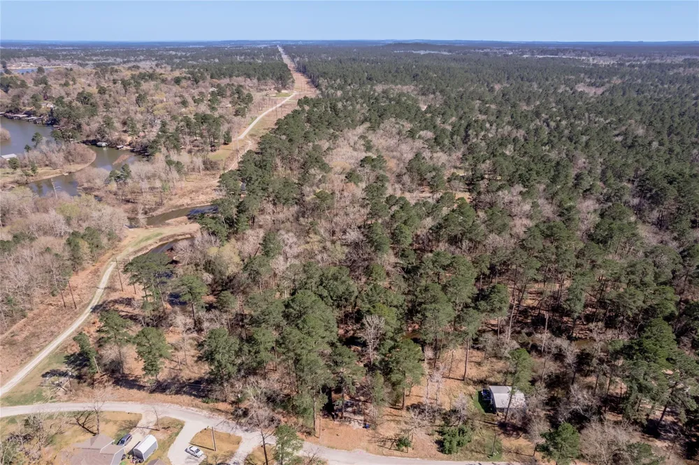48 Hickory Bend Riverside, TX 77320