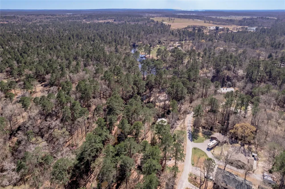 48 Hickory Bend Riverside, TX 77320
