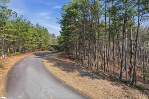 S-28 Tamassee Ridge Way