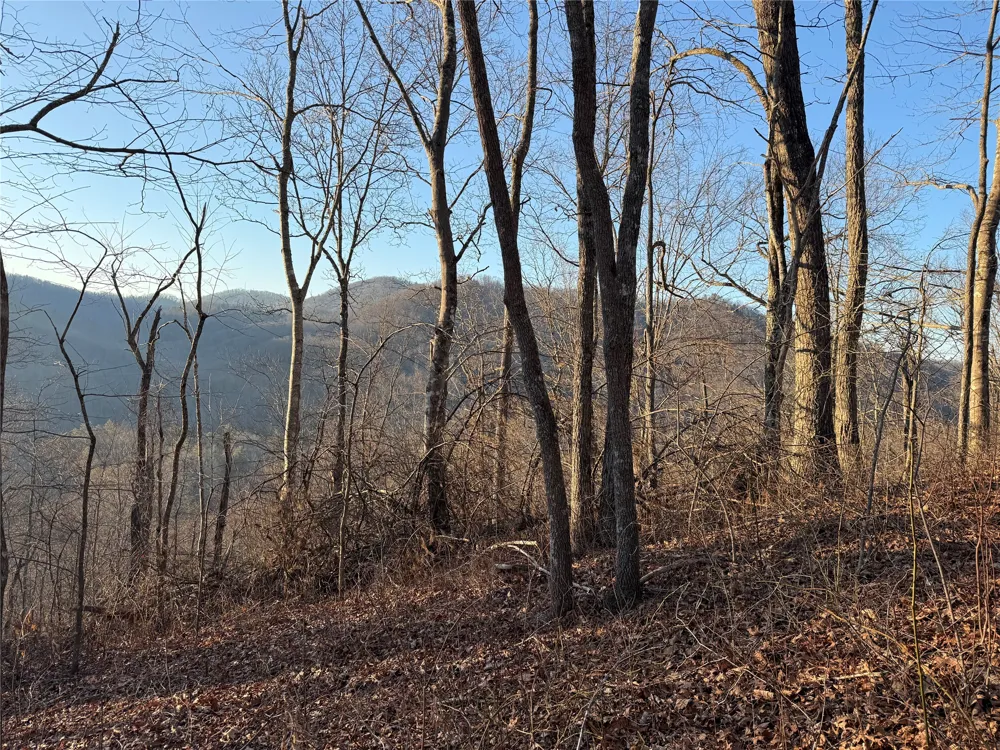 45 Big Pilot Mountain Glenville, NC 28763