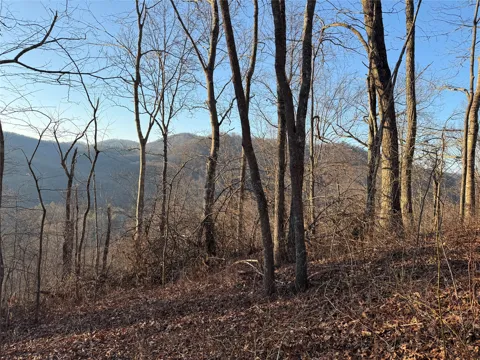 45 Big Pilot Mountain